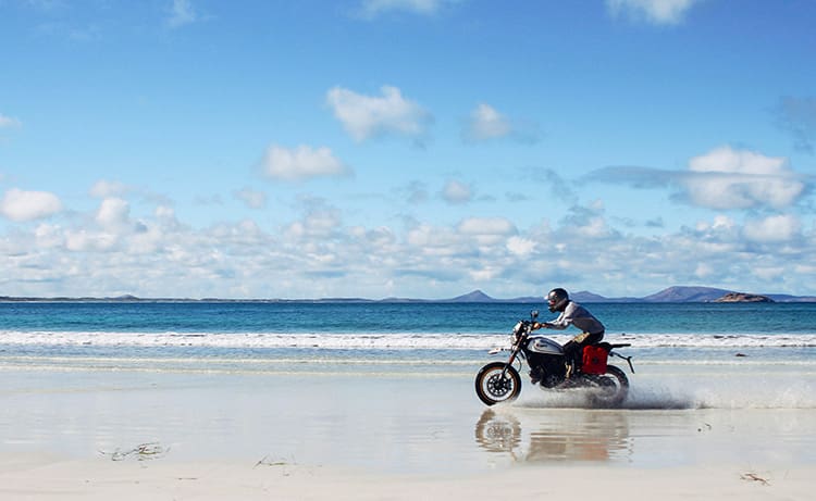 Ducati Scrambler Desert Sled